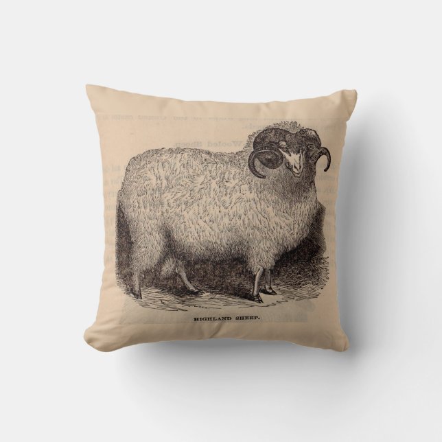 19th century print Highland sheep Cushion (Front)