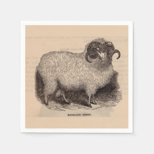 19th century print Highland sheep Napkin