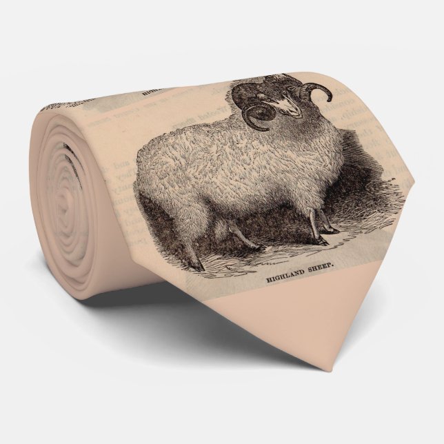19th century print Highland sheep print Tie (Rolled)