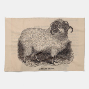 19th century print Highland sheep Tea Towel
