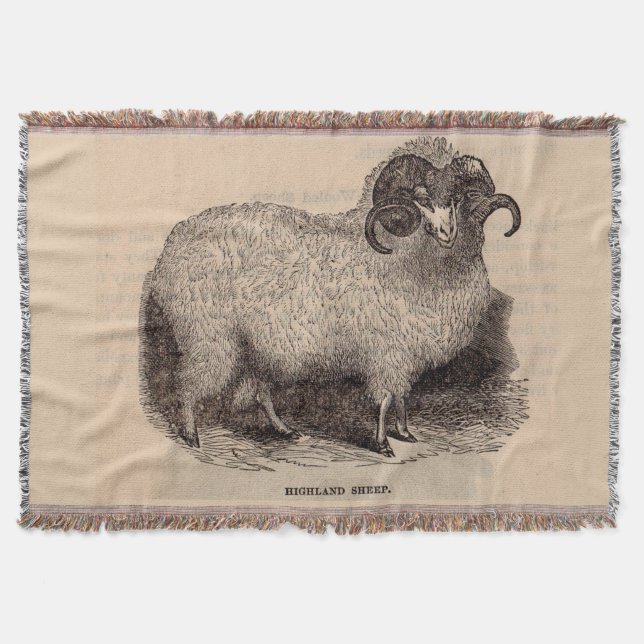 19th century print Highland sheep Throw Blanket (Front)