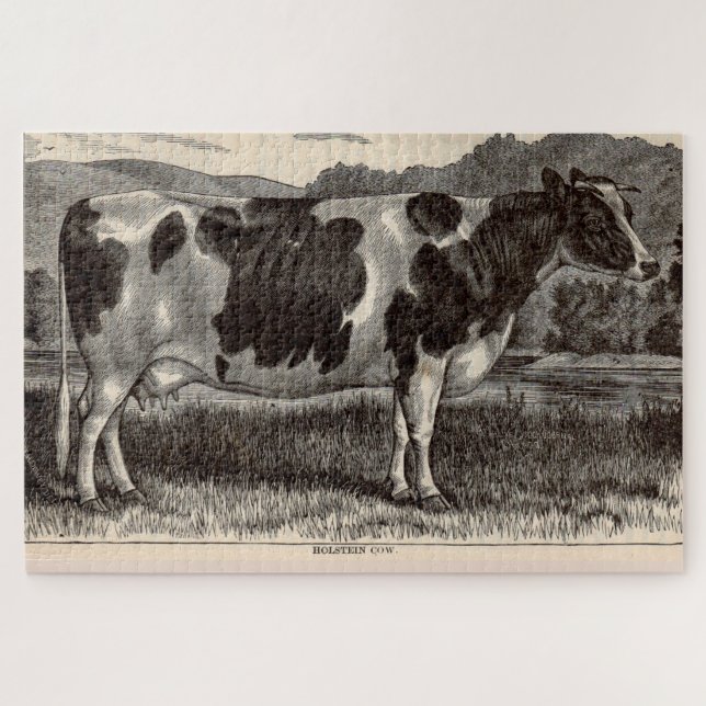 19th century print Holstein cow Jigsaw Puzzle (Horizontal)