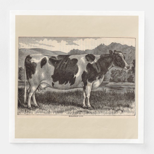 19th century print Holstein cow Napkin (Front)