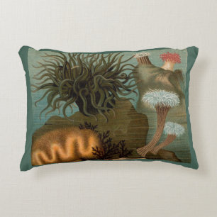 19th century print sea anemones decorative cushion