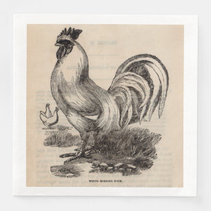 19th century print white Dorking rooster Napkin