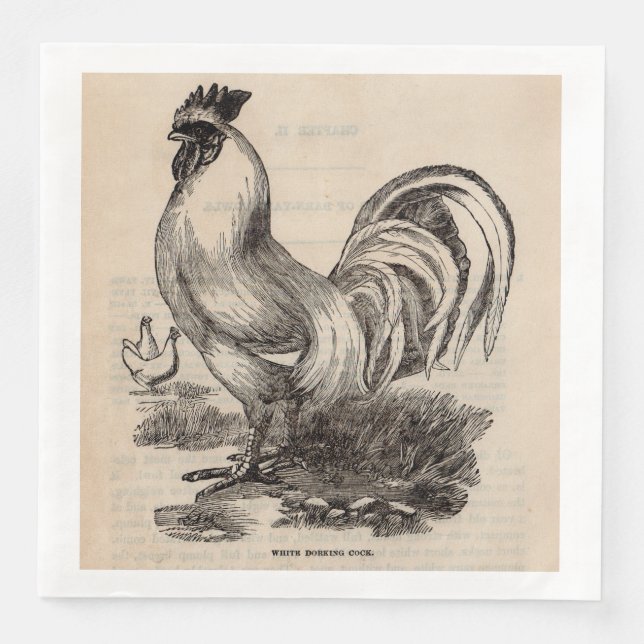 19th century print white Dorking rooster Napkin (Front)