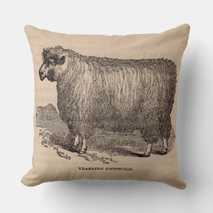 19th century print yearling Cotswold sheep Cushion