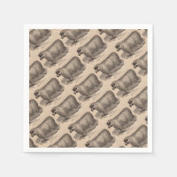 19th century print yearling Cotswold sheep