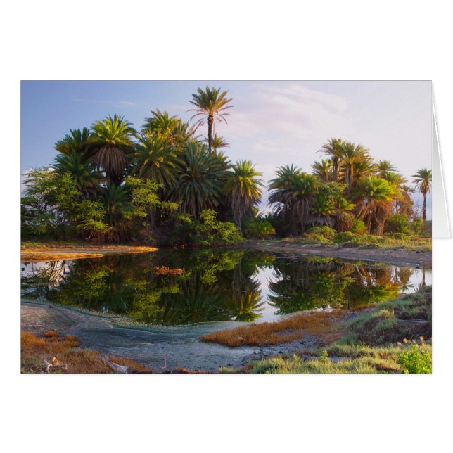 1,000,000 Years B.C. (Front Horizontal)