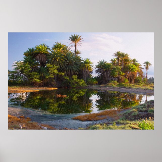 1,000,000 Years B.C. Poster (Front)