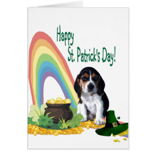 1. Adorable Basset Hound Puppy