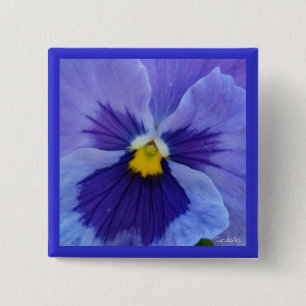 1 Blue Beauty Pansy 15 Cm Square Badge