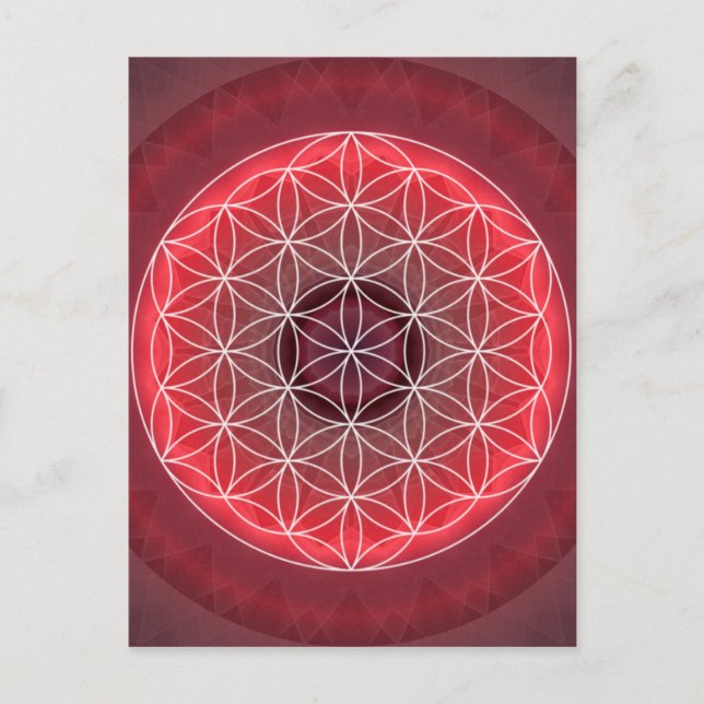 1 Chakra Flower of Life red Postcard (Front)