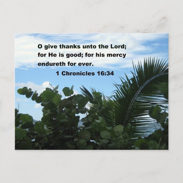 1 Chronicles 16:34 Postcard (Front)