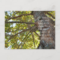 1 Corinthians 13:13 Tree Branches Postcard