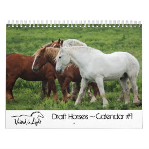 #1 Draught Horses Calendar