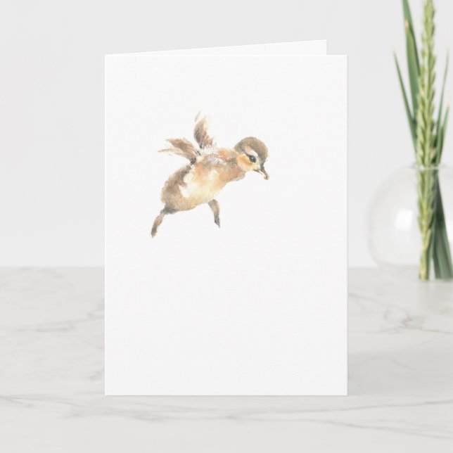 1)	Folded card - Wood Duck Fledgling - 5x7" blank (Front)