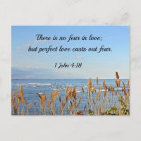 1 John 4:18 There is no fear in love; but perfect