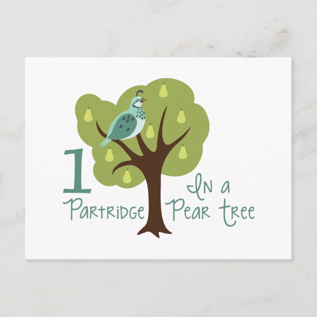 1 Partridge In Pear Tree Postcard (Front)