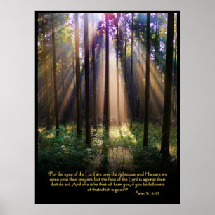 1 Peter 3:12-13 Christian Bible Verse Poster