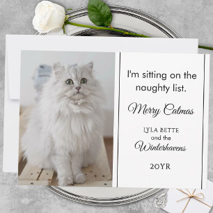 1 Photo Family Pet Funny Naughty List Humour Scrip Holiday Card