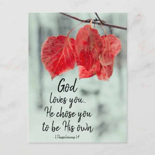 1 Thessalonians 1:4 God loves you...He chose you, Postcard (Front)