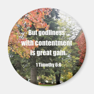 1 Timothy 6:6 But Godliness with contentment is Magnet