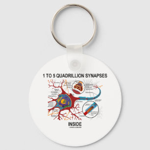 1 To 5 Quadrillion Synapses Inside (Neuron) Key Ring