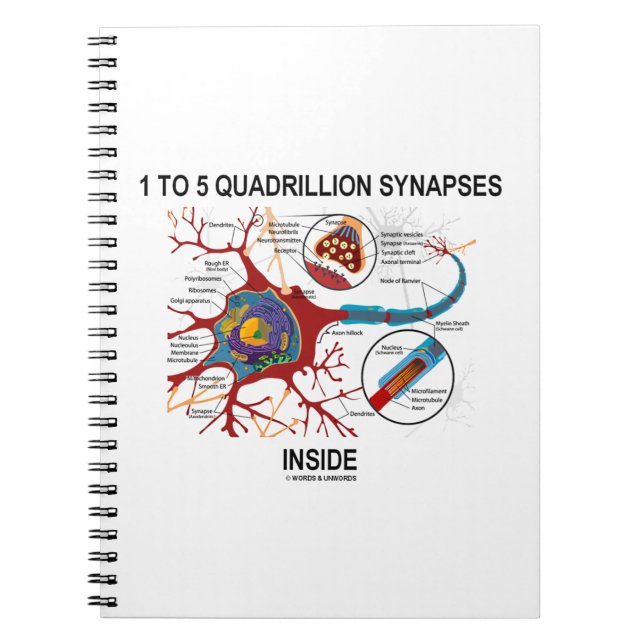 1 To 5 Quadrillion Synapses Inside Neuron Synapse Notebook (Front)