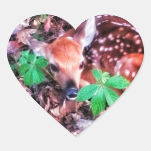 1FAWN HEART STICKERS