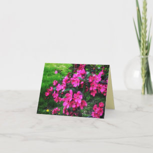 1RED BLOSSOMS GREETING CARD