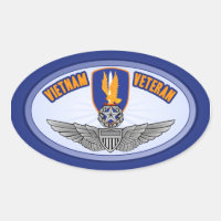 1st Avn Bde Master Aviator