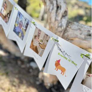 1st Birthday 12 Month Photo Bunting Banner