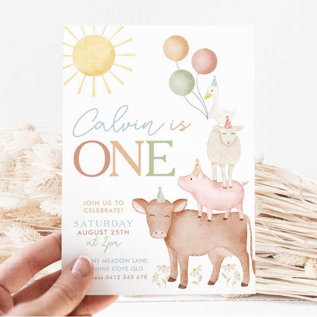 1st Birthday Farm Animals Barnyard Party Boys Invitation (Creator Uploaded)