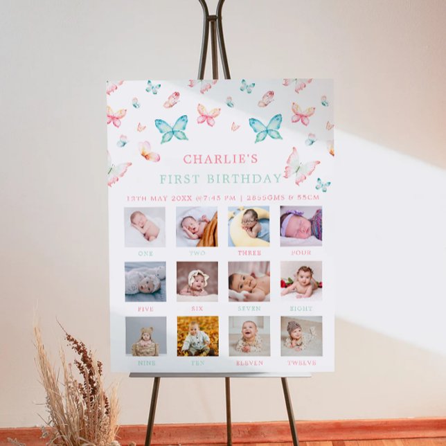 1St Birthday Monthly Photo Sign Rainbow Butterfly (1St Birthday Monthly Photo Sign Rainbow Butterfly)