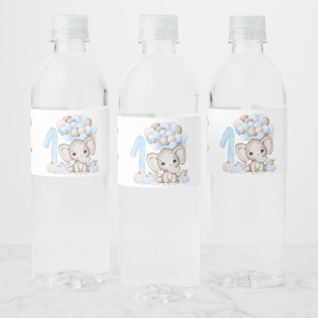 1st Birthday Party | Boy | Water Bottle Label (Bottles)