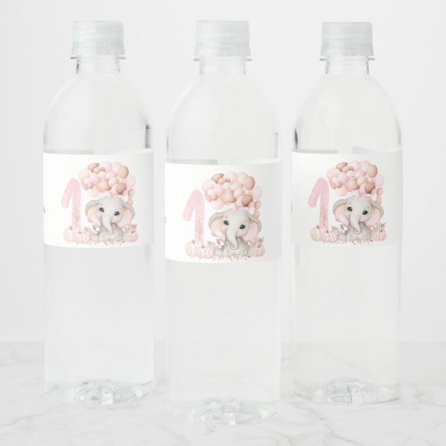 1st Birthday Party | Girl | Water Bottle Label (Bottles)