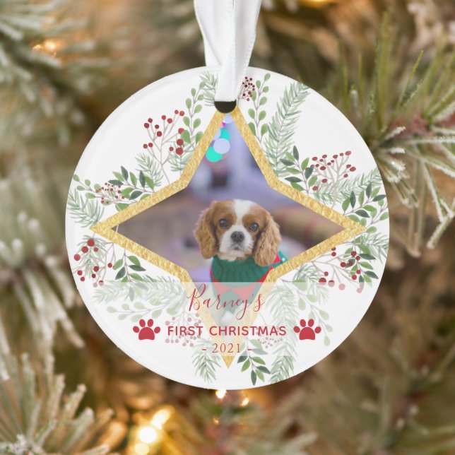 1st Chrismas Pet Gold and red Ornament (Tree)
