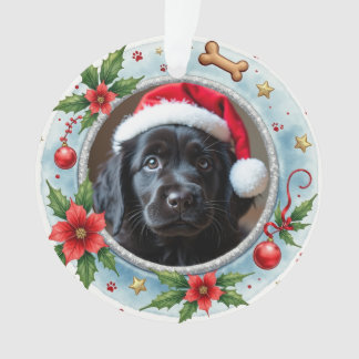 1st Christmas 2-sided Pawfect Beginnings Ornament