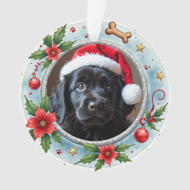1st Christmas 2-sided Pawfect Beginnings Ornament (Front)