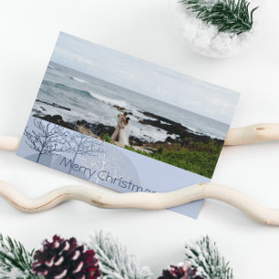 1st Christmas Blue Holiday Tree or Anyone Photo