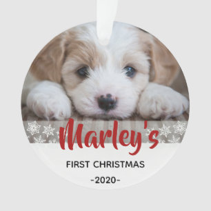 1st Puppy Picture Ornament - First Christmas -