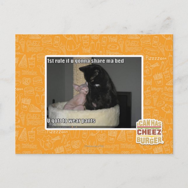 1st rule if u gonna share ma bed postcard (Front)