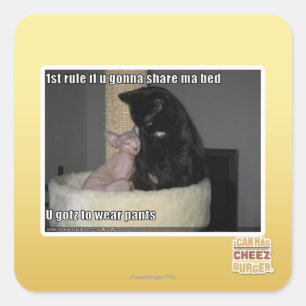 1st rule if u gonna share ma bed square sticker