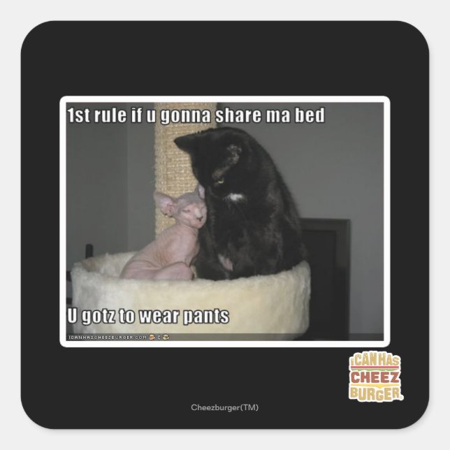 1st rule if u gonna share ma bed square sticker (Front)