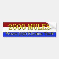 2000 Mules