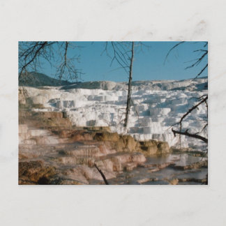 2003 - Yellowstone 01 Postcard