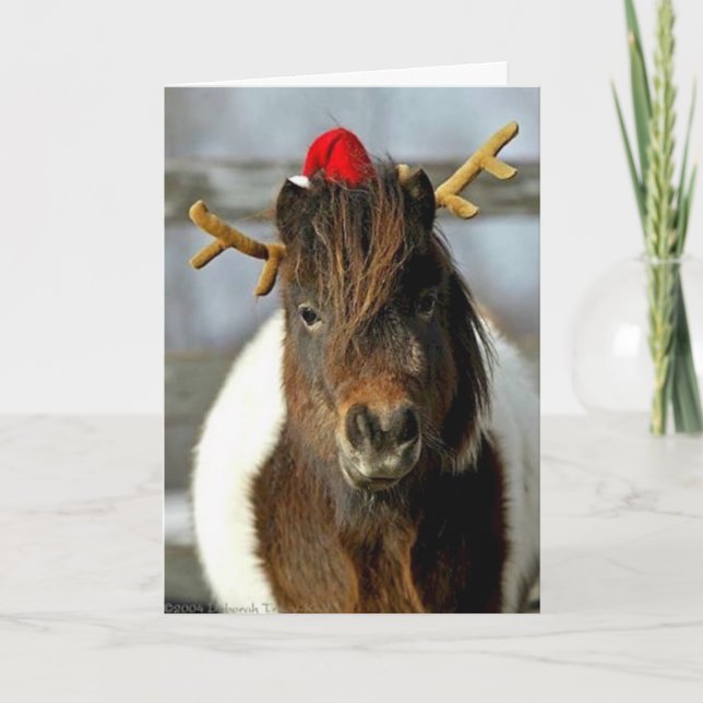 2005 OMRH Christmas Card Photo First Place Winner (Front)