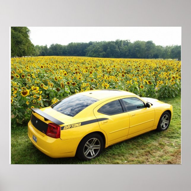 2006 Dodge Charger R/T Top Banana Poster (Front)