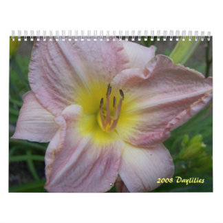 2008 Daylilies Calendar - Customised